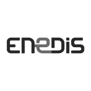 Logo Enedis