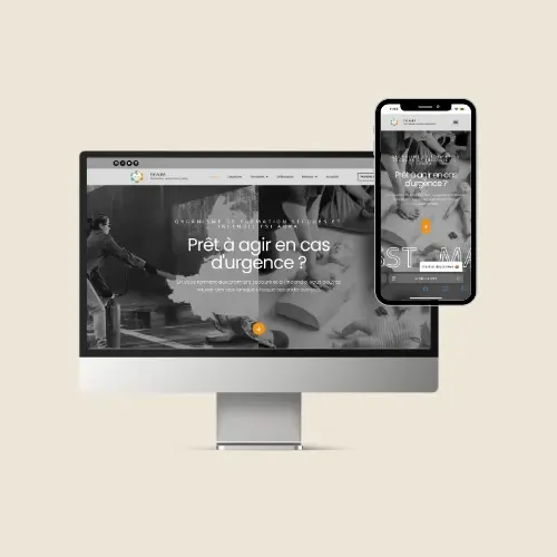 Site internet de FSI AuRA sur écran et smartphone